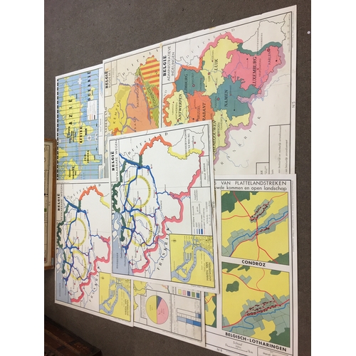 197 - 8 Educational Posters  Maps Etc. Along With Wooden Frame