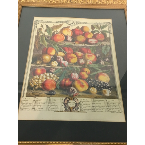 287 - 2 Gilt Framed Prints Of Fruit