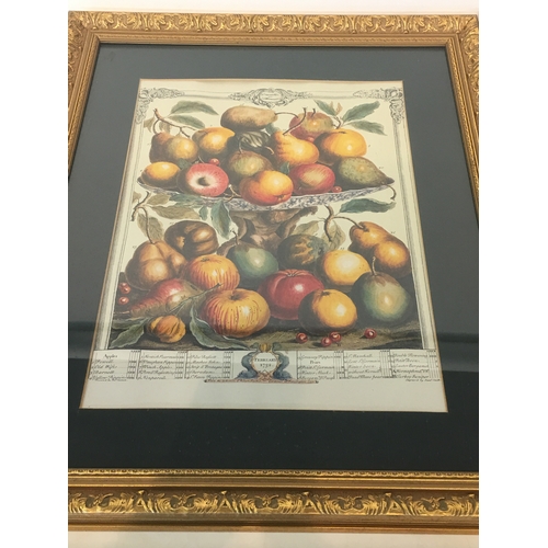 287 - 2 Gilt Framed Prints Of Fruit