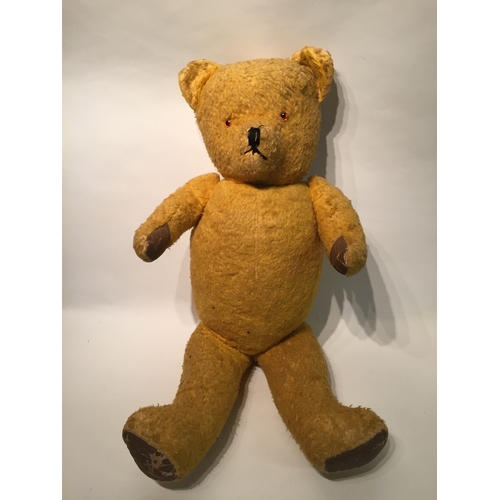 Growling teddy clearance bear