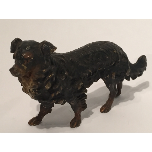 107 - Austrian Cold painted bronze model of a dog