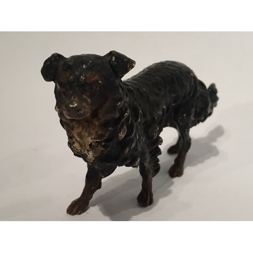 107 - Austrian Cold painted bronze model of a dog