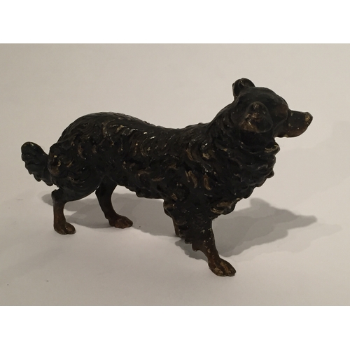 107 - Austrian Cold painted bronze model of a dog