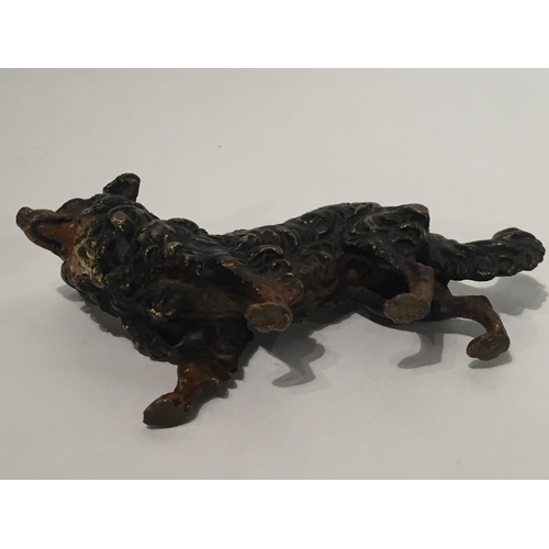 107 - Austrian Cold painted bronze model of a dog