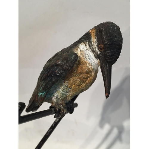 454 - Cold painted bronze model of a kingfisher on a perch, Note Perch Is A Later Addition