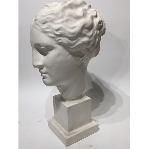 203 - White Plaster ladies head  bust 45cm tall