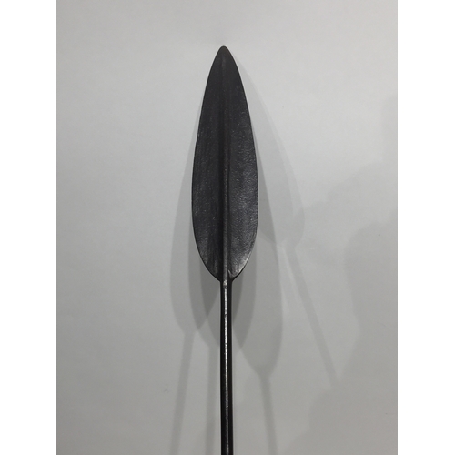 155 - African  Spear .206cms