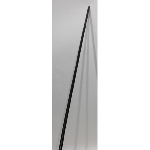 155 - African  Spear .206cms