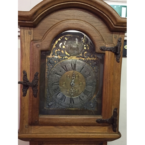 51 - Oak Long case Clock Stands 214 Cms