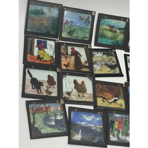 143 - 21 Glass Victorian Hand Painted Lantern Slides Birds And Hunting Scenes Etc.