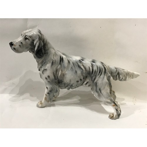 204 - Royal Doulton English Setter  Dog. 21 x 14 cms