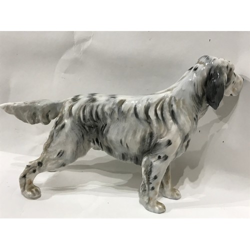 204 - Royal Doulton English Setter  Dog. 21 x 14 cms