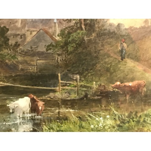 72 - Framed And Glazed Painting.  Cows In The River. 73 x 56 cms