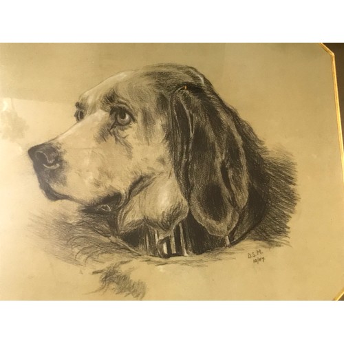 624 - Vintage Framed And Glazed Study Of A Dogs Head Signed D.S.M 57 xx44 cms