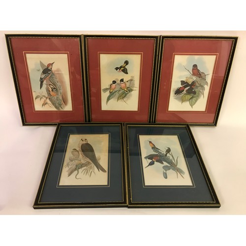 628 - Five Framed And Glazed Prints Of Birds. (5)