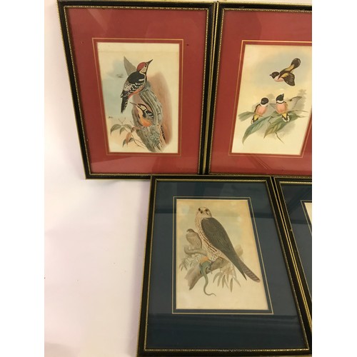 628 - Five Framed And Glazed Prints Of Birds. (5)