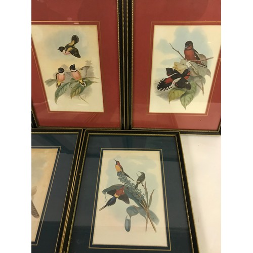 628 - Five Framed And Glazed Prints Of Birds. (5)