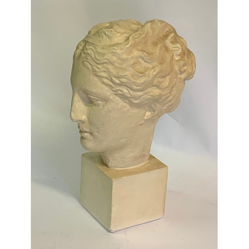 258 - Ceramic Head Mount Of A Lady. 42 cms High