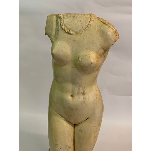 271 - Large Vintage Mounted Plaster Torso 82 cms High