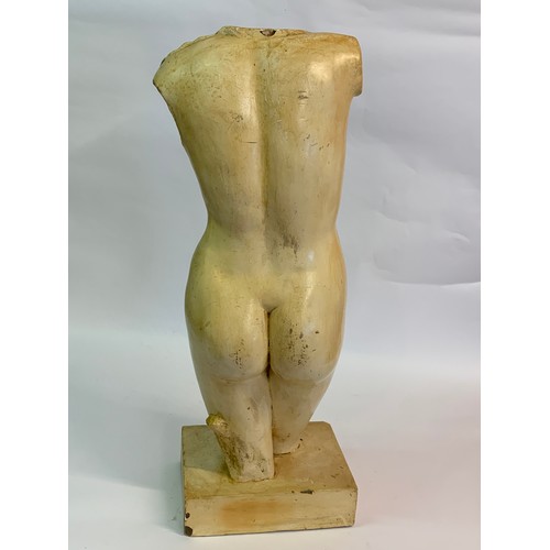 271 - Large Vintage Mounted Plaster Torso 82 cms High