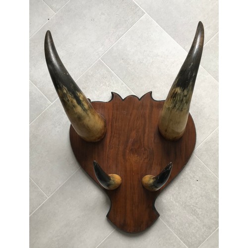 142 - Antique Wall Hanging Coat Hook With Cow Horn Decoration
50 x 32 cms