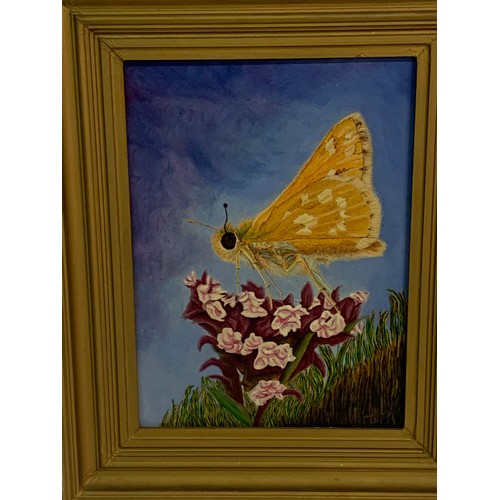 347 - Gilt Framed Oil On Board Of A Butterfly Signed Bottom Right. 57 x 47 cms