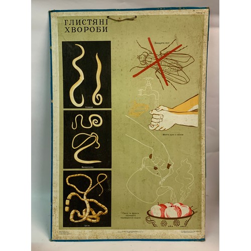 357 - Vintage Russian Double Sided Educational Poster. 92 x 62 cms