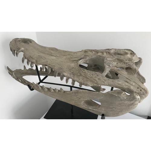 146 - Vintage Composite Model On Stand Of A Crocodile
55 cms long x 26 cms wide