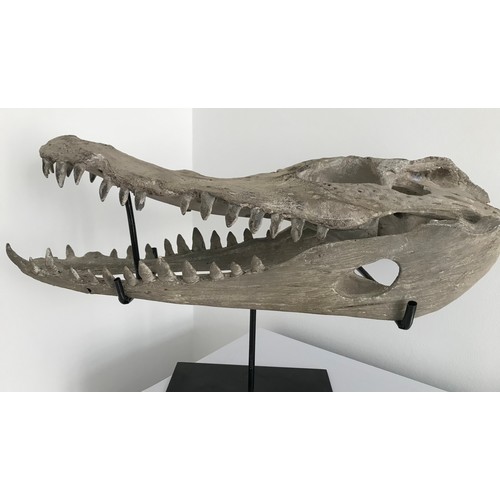 146 - Vintage Composite Model On Stand Of A Crocodile
55 cms long x 26 cms wide