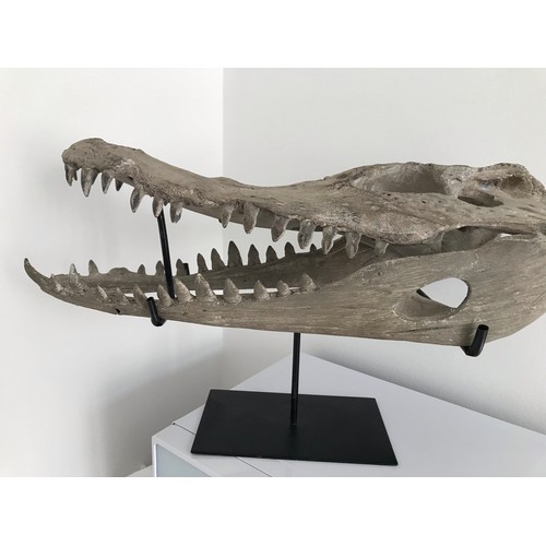 146 - Vintage Composite Model On Stand Of A Crocodile
55 cms long x 26 cms wide