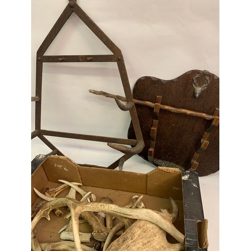 532 - Antique Wood Riding Crop Rack Along With A Riding Crop , Antler Coat Hook And A Box Of Various Antle... 