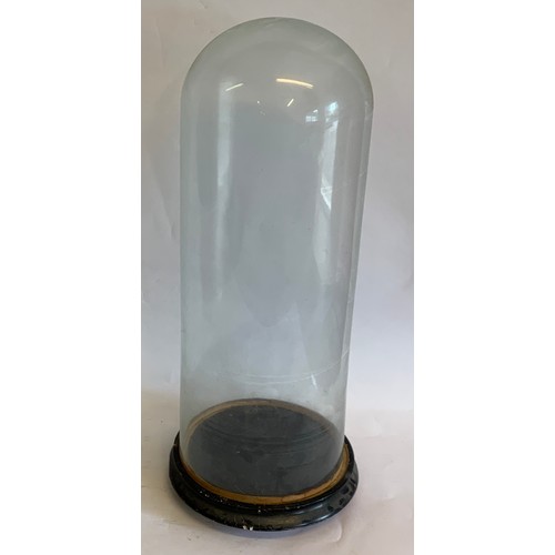 382 - Antique Glass Dome Standing 54 cms High