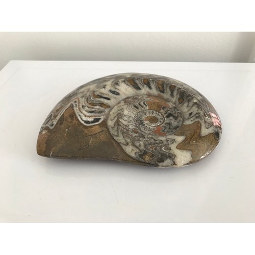 218 - Similar To Previous Lot.
Polished Ammonite Fossil
17 x 14 cms