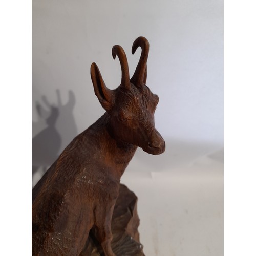 5 - Black Forest style Hand Carved Ibex with Barometer. signed to lower left. 43cm high x 23cm wide