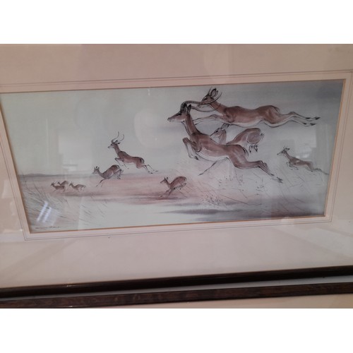 317 - 4 x decorative Mounted prints framed and glazed of wild life 53cm x 31cm