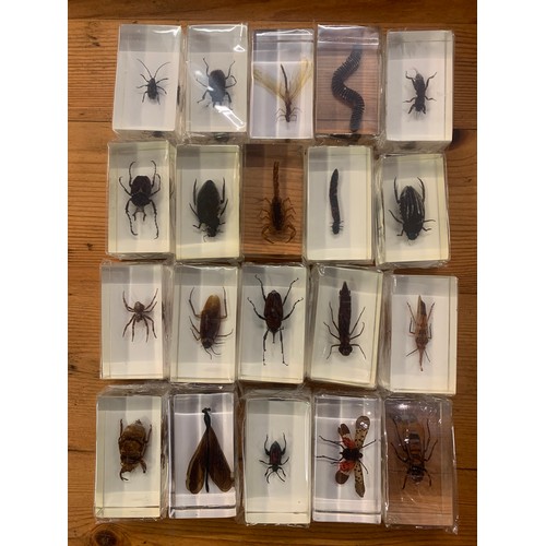 350 - Quantity Of 20 Taxidermy Acrylic Insects. (20)