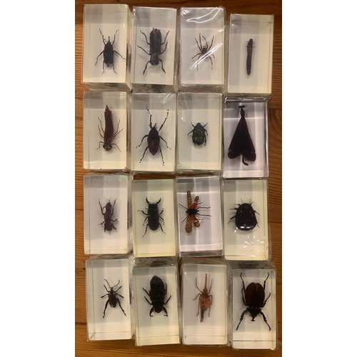 352 - Quantity Of 16 Taxidermy Acrylic Insects. (16)