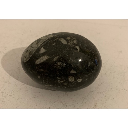 143 - Orthoceras Egg Shaped Fossil
6 x 5 cms.