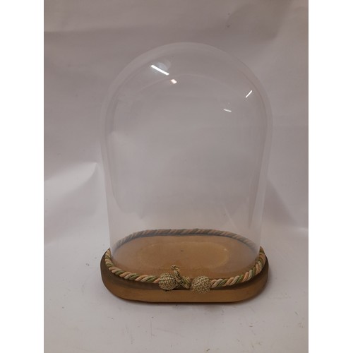 438 - Glass dome on wooden base, Dome size 36cm x 26cm