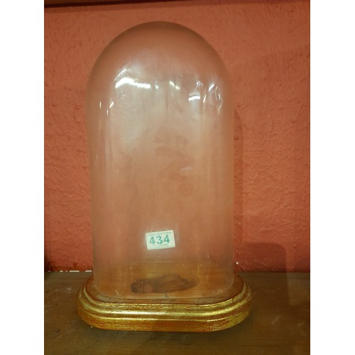 434 - Glass dome on woodn base, Dome size 30cm x 17cm