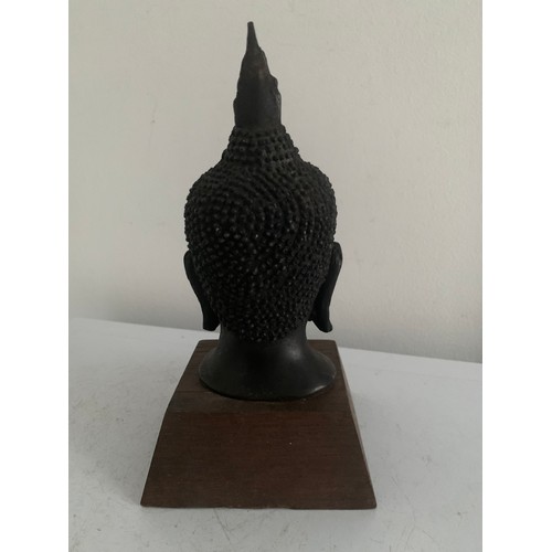 204 - Bronze Buddha Head ( base not included)
15 cms h