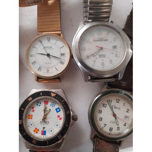 75 - 8 x watches untested to include Timex expedition, Rotary,Montine, Sekonda.