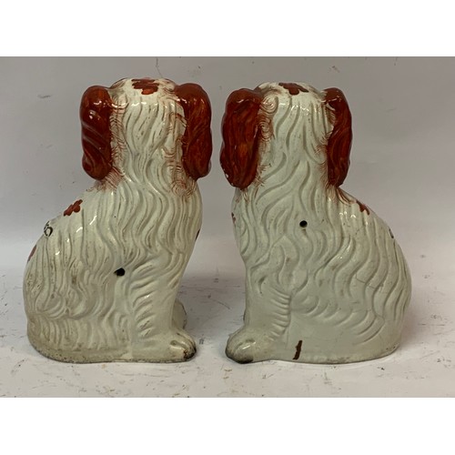 492 - Pair Of Staffordshire Flat Back Ceramic Dogs. 22 cms High