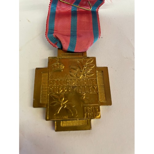 247 - Continental Military Medal With Ribbon.