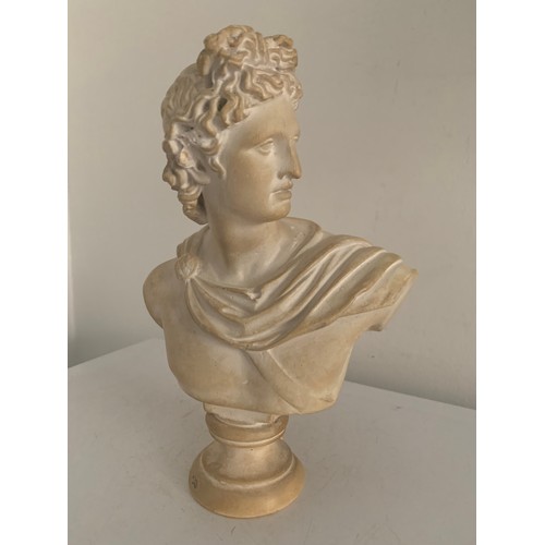 169 - Vintage Composite Bust Of Apollo
22 cms h