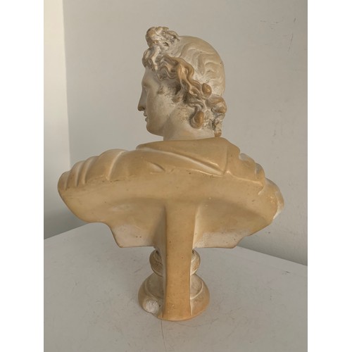 169 - Vintage Composite Bust Of Apollo
22 cms h