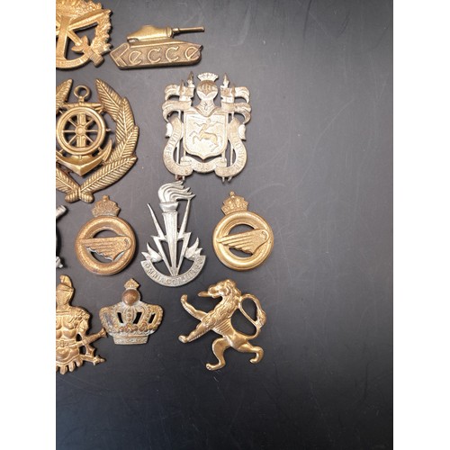 324 - 17 x Military Cap Badges