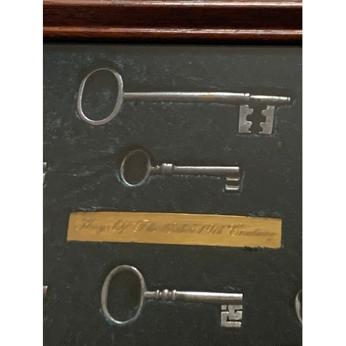 521 - Display Case With A Collection Of Keys Of Thé 18th And 19thC
32 x 24 cms