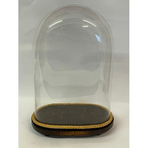 522 - Antique Taxidermist Glass Dome. 39 cms High