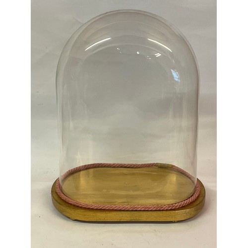 523 - Similar To Previous Lot Taxidermists Glass Dome. 39cms High